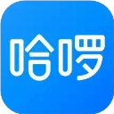 飞流视频播放器